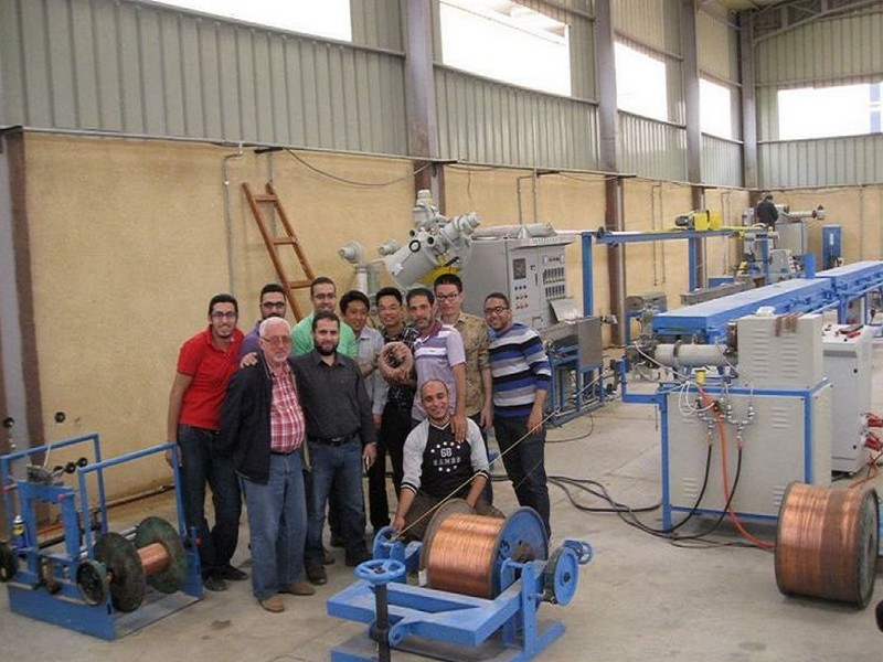 2.5mm2 150m/Min FEP PFA ETFE Wire Extrusion Machine