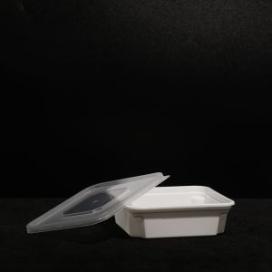  Customized Bpa Free Fast Food Box With PP Material Printing Manufactures