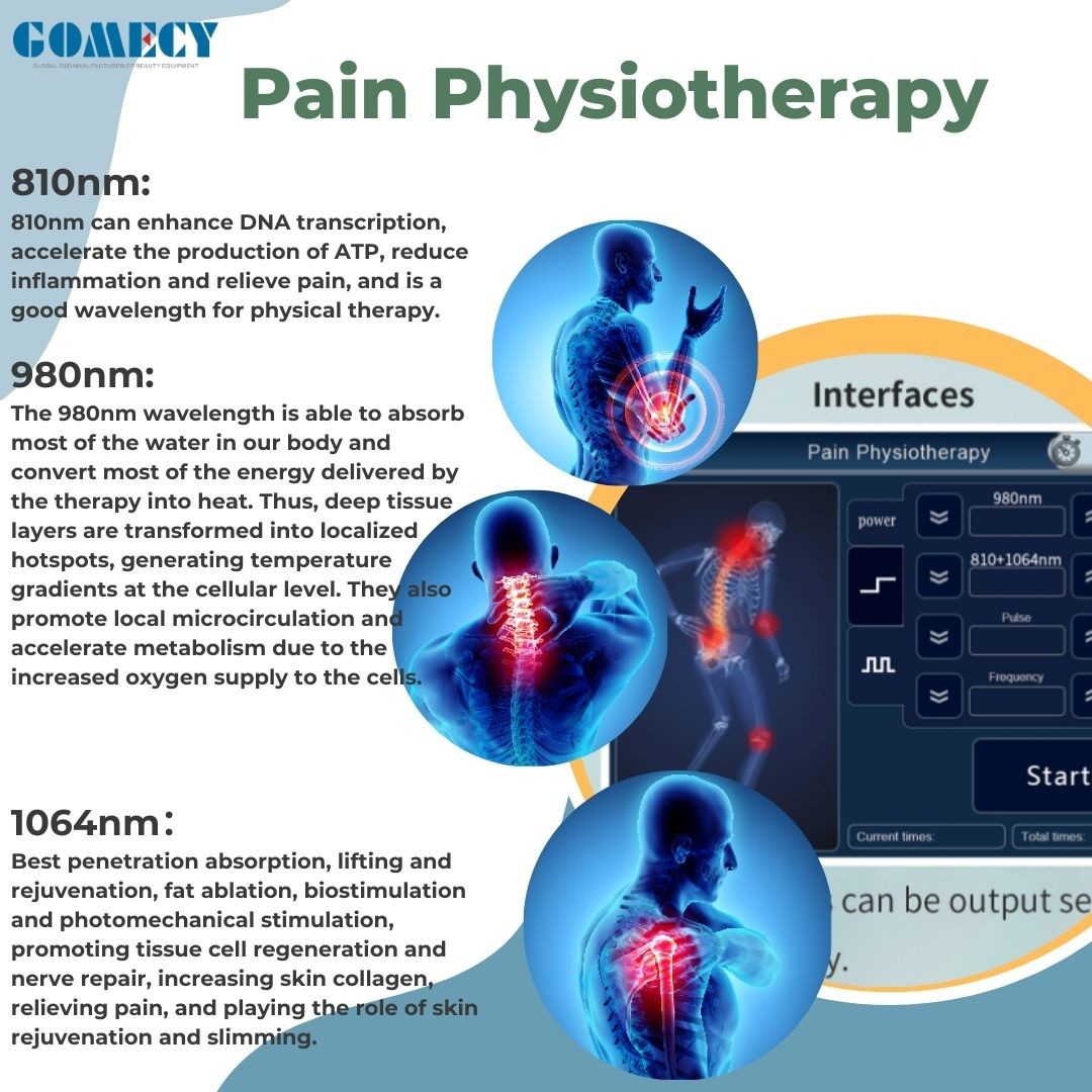 810 980 1064nm Laser Machine With Battery Class Iv 20w Pain Relief Laser Therapy Machine 980