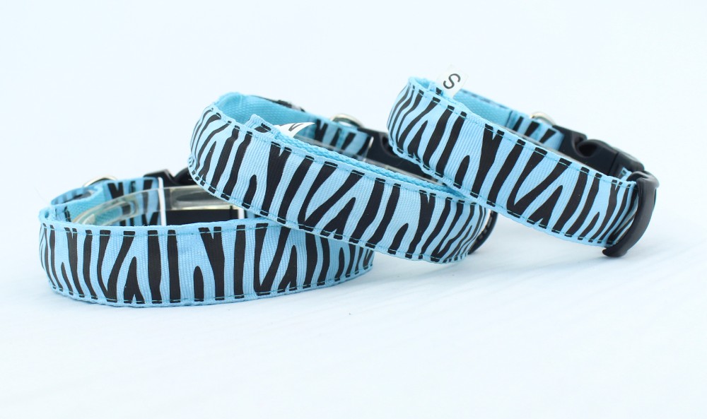 Multi Color Rope Clips LED Dog Collar , Pet Training Dog Collar For Party