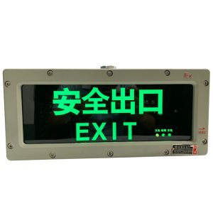 Customizable 3W Anti-Explosion Emergency Exit Sign LED Light Source for Chemical