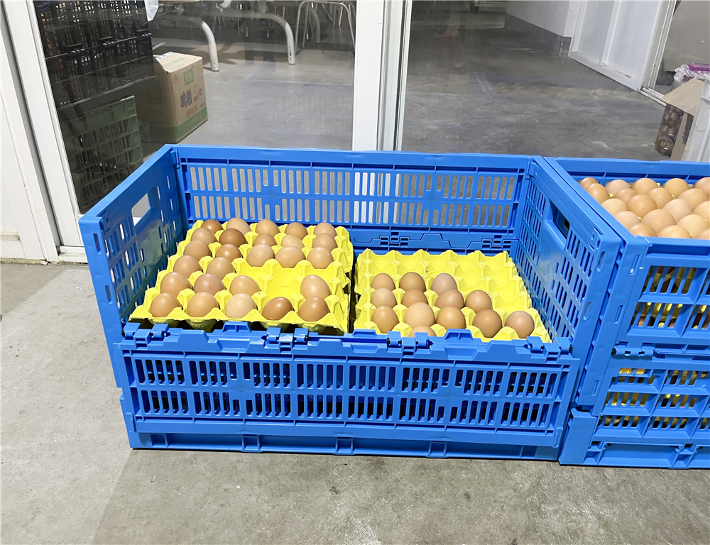 Foldable 14 Egg Storage Box Stackable Plastic Kitchen Organizer Bin for Storing Eggs