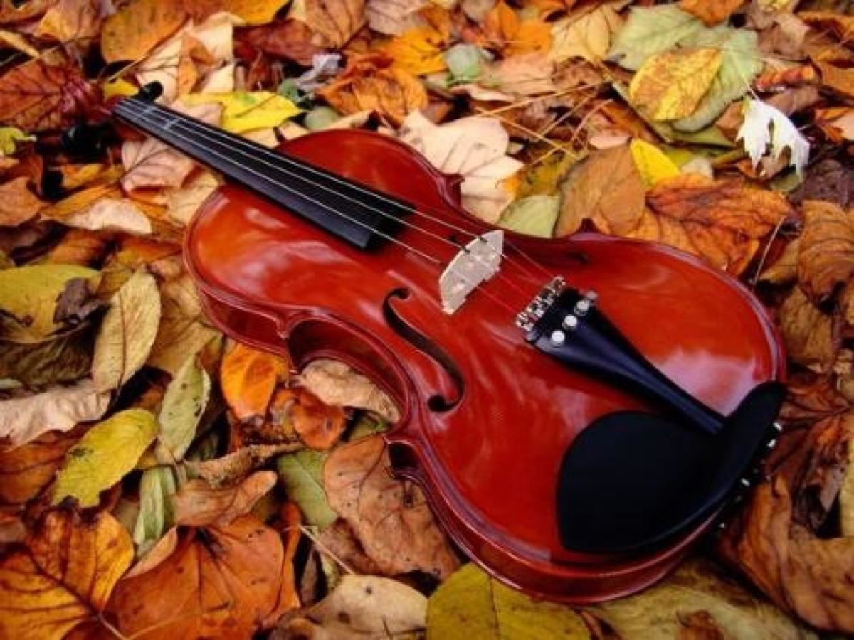 4/4 Full Size Student Beginner Violin (VG001-HPM) Wholesale Price Handmade High Quality Colorful High-gloss 4/4 size