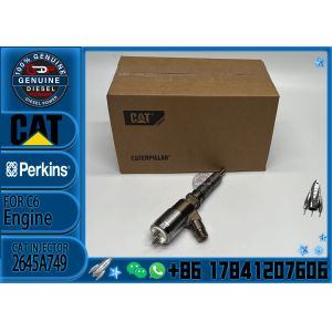 Common Rail Injector 2645A743 2645A749 for 1106D-E66TA Engine