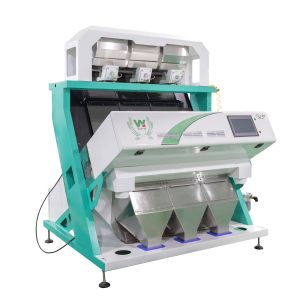 China Automatic Color Sorter for Almonds Peanuts  Walnuts Intelligent Color Sorting Machine With High Accuracy on sale