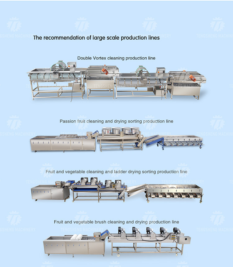 Lifting and conveying of fruit and vegetable pre-foaming materials for supporting equipment of operation line