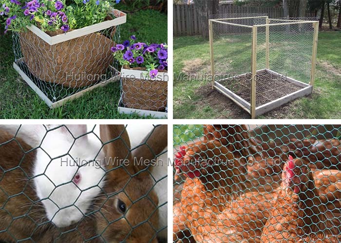 Bwg18 1/4 Inch Hexagonal Wire Netting For Fence Or Bird Cage