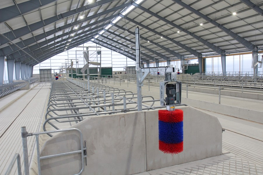 Q235/Q345 Horse Barn Style Metal Buildings Prefab Metal Horse Barn OEM ODM