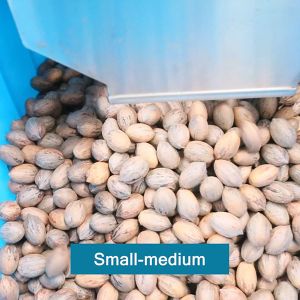 2 Tons Capacity 380V 8 Channels Pecan Sorting Machine With CE Certification