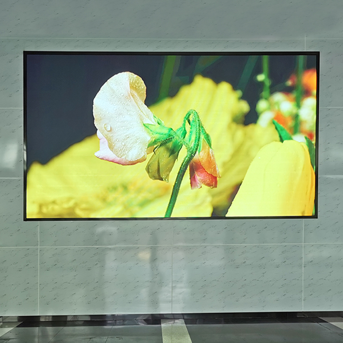 1R1G1B P2.5 Advertising LED Wall Indoor LED Billboard