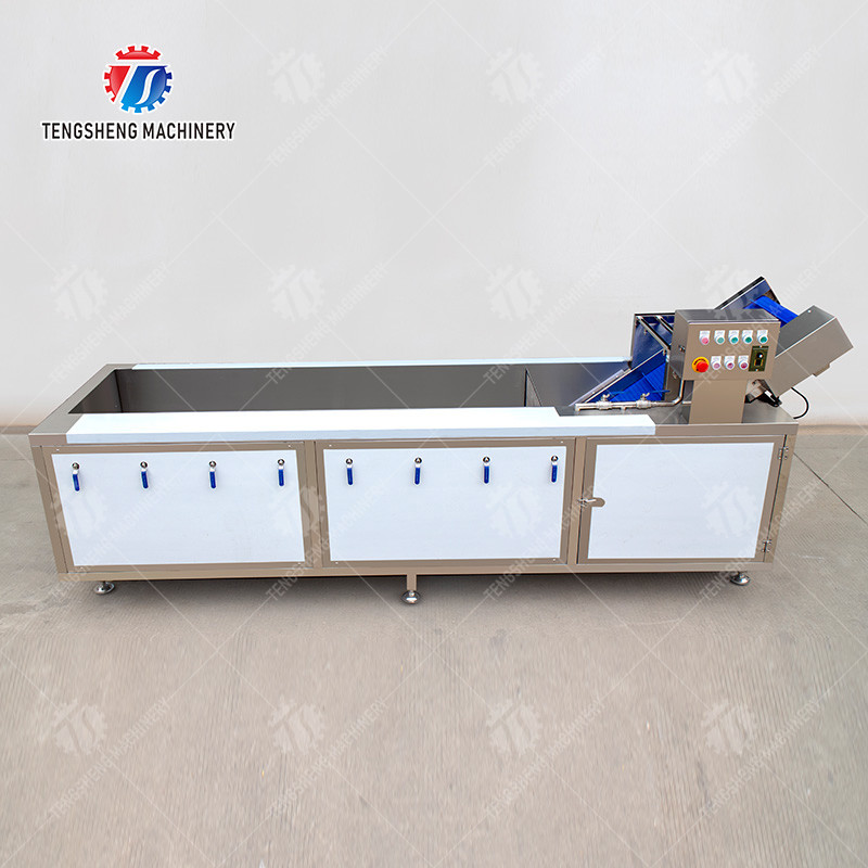 1500KG/H Fruit Vegetable Washing Machine With Stainless Steel Material