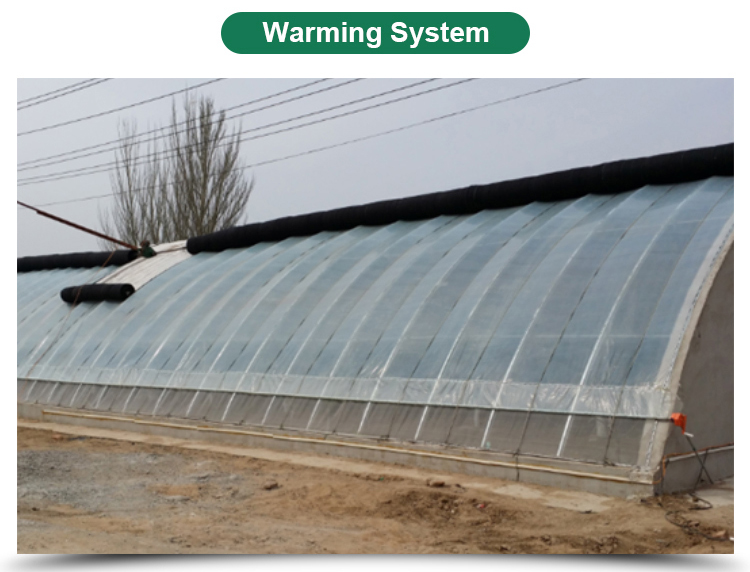Hydroponic System Included High Strength Solar Greenhouse for Vegetable Fruits Flowers