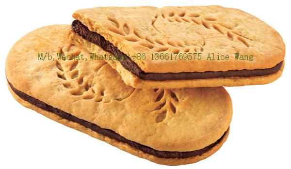 Complete Full Automatic Biscuit Food Processing Line Machinery Chocolate Biscuit