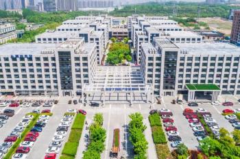 Nanjing Shinewave Technology Co., Ltd.