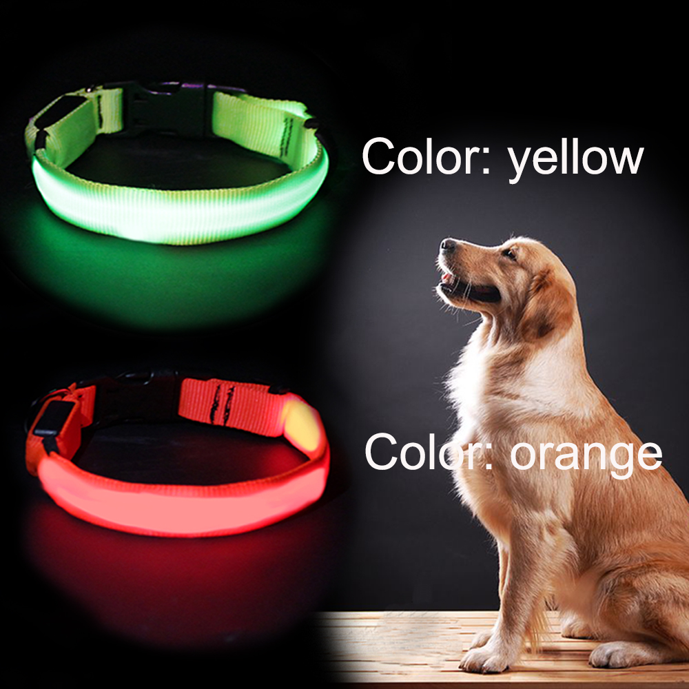 Customized LED USB Rechargeable Pet Dog Collar With Buckles Nylon Webbing