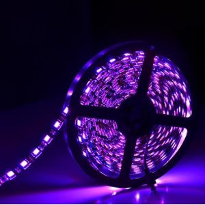 SMD2835 Dimmable Rgb Led Strip Copper Lamp Body Material IP20/IP44/IP54/IP67