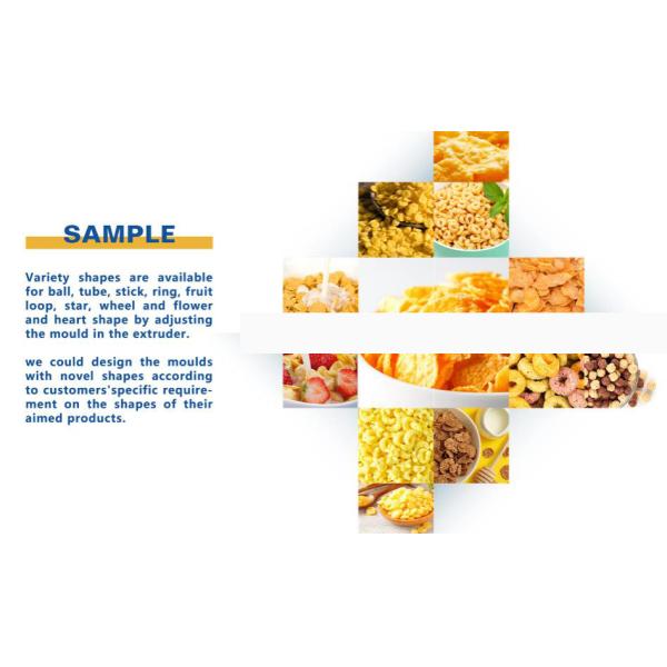 Corn Flakes Processing Line