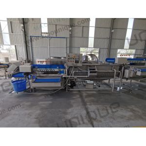 Salad Leaf Vegetable Processing Line Take Your Salad Production to the Next