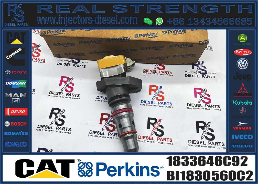 Diesel Fuel Injector 1833646C92 BN1830691C1 AP63811BI 1833640C1 1833644C11