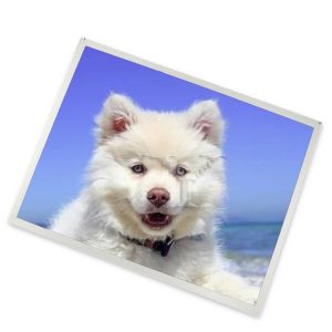 LTM10C348 Online One-stop Shopping 10.4 Inch Lcd Module 800*600 in Stock Lcd