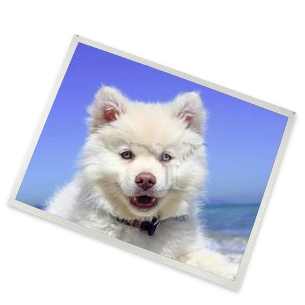 LTM10C348 Online One-stop Shopping 10.4 Inch Lcd Module 800*600 in Stock Lcd