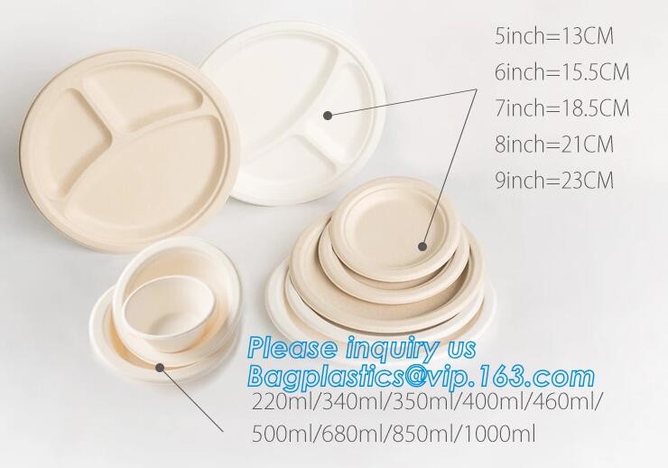 Meal Prep Containers Free Sample Bento Lunch Box Biodegradable Food Container Plastic Wheat Straw Lunch Box bagplastics
