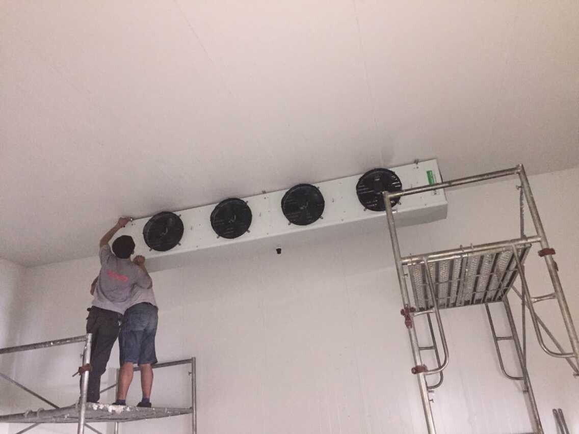 Customized Easy Assemble Cold Storage Room For Meat Auto - Defrost Type