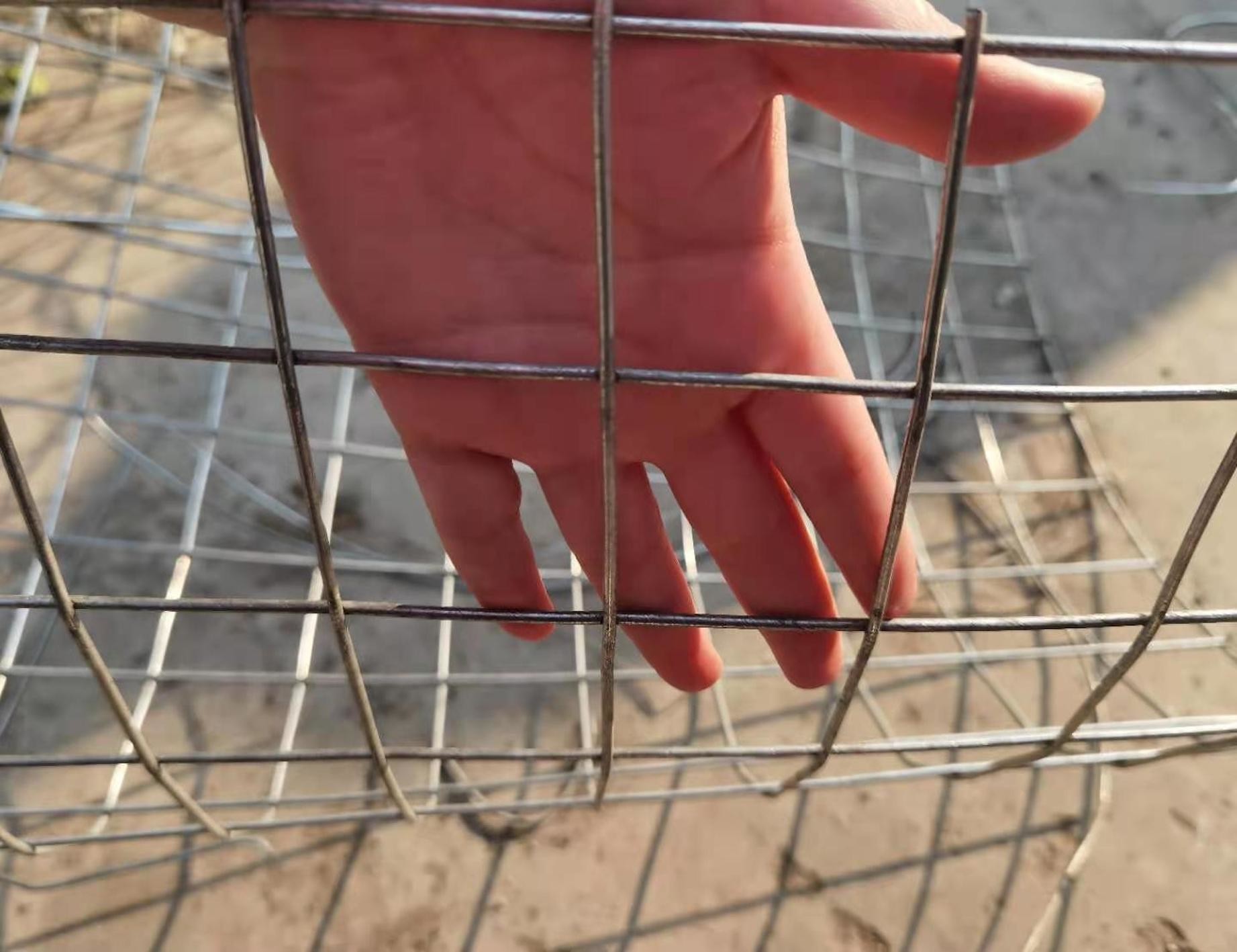 0.5m Welded Wire Mesh 2m Stainless Steel 201 Welded Fence Mesh 3/8" X 3/8"
