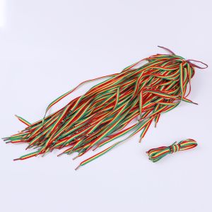 Soft Printed Polyester Shoelace Custom Design Color Flat Cord With Plastic Tips