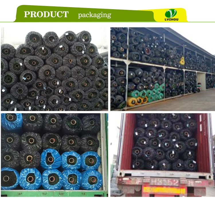 Natural Artificial Golf Green Turf Tpe Rubber Granule For Display 1mm Width
