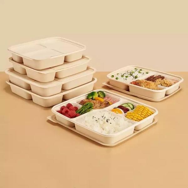 Quality Salad Bio Degradable Food Packaging With Custom Carton Package Microwavable for sale