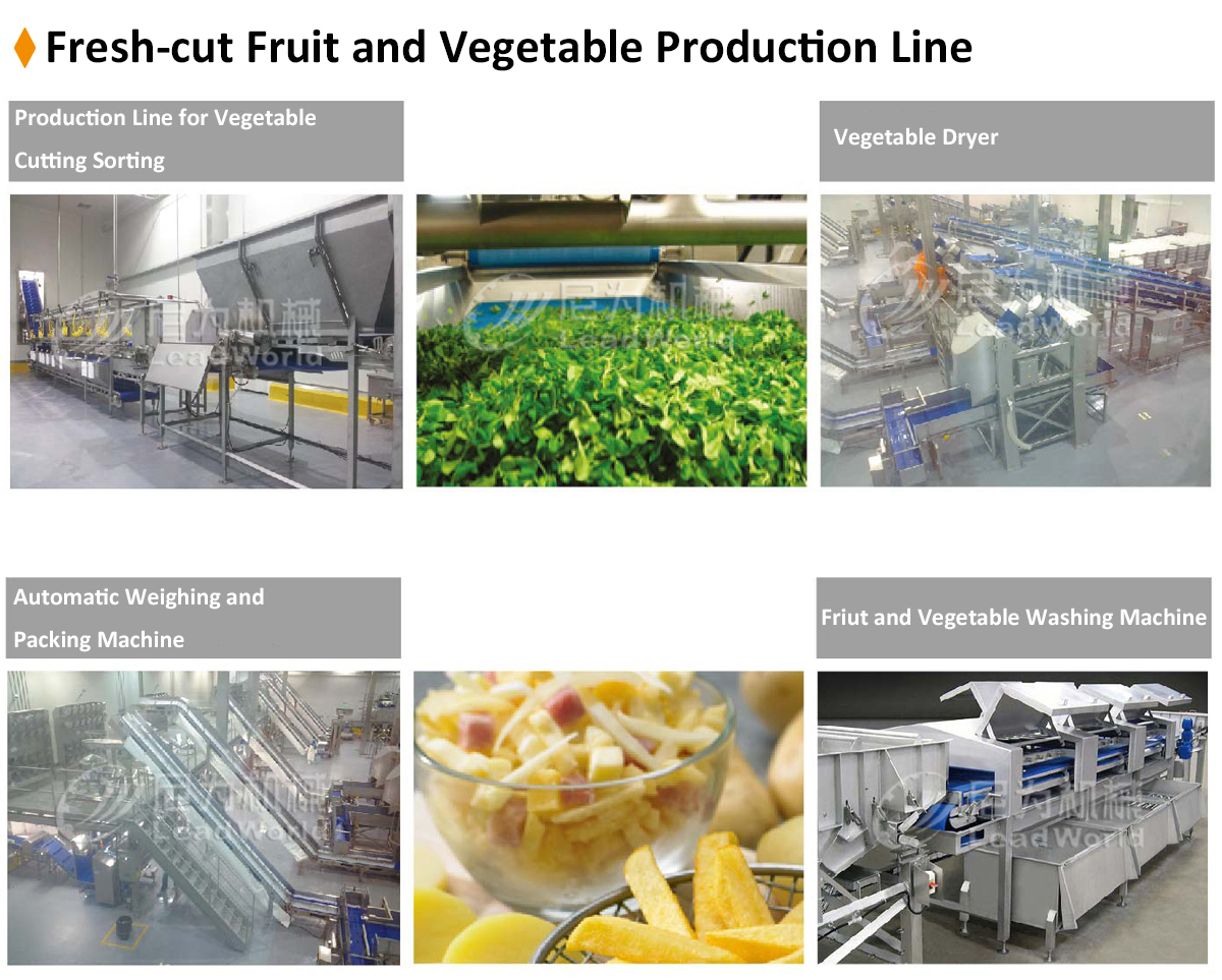 Automatic Bubble Fruit And Vegetable Apricot Washing Cleaning Equipment Line 800kg