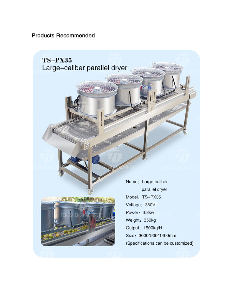 Stainless Steel Vegetable Processing Machine Vibration Draining Machine