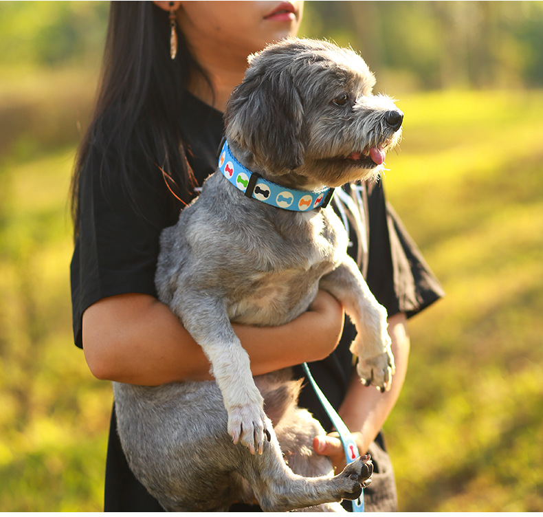 Pet Accessories Customized Collares Perro Dog Collars Personalized Design Custom Logo