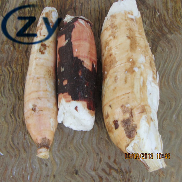  Stainless Steel 304 Cassava Peeling And Washing Machine Tapioca Making Manufactures