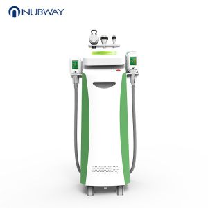 China Fat Reductional Cryolipolysis Machine Fat Reduce Cryolipolysis slimming Machine on sale