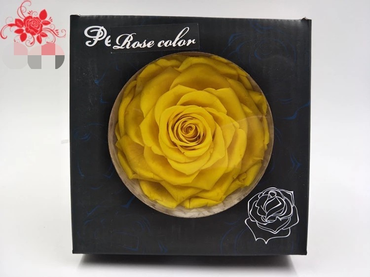 New Technique Preserved Rose Handmade Real Forever Giant Rose
