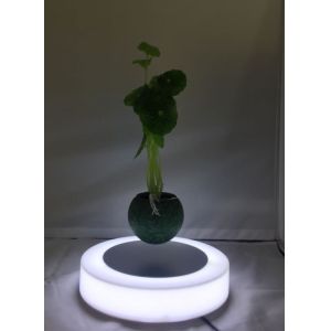  led light magnetic floating levitate bottom air bonsai tree potted for gift Manufactures
