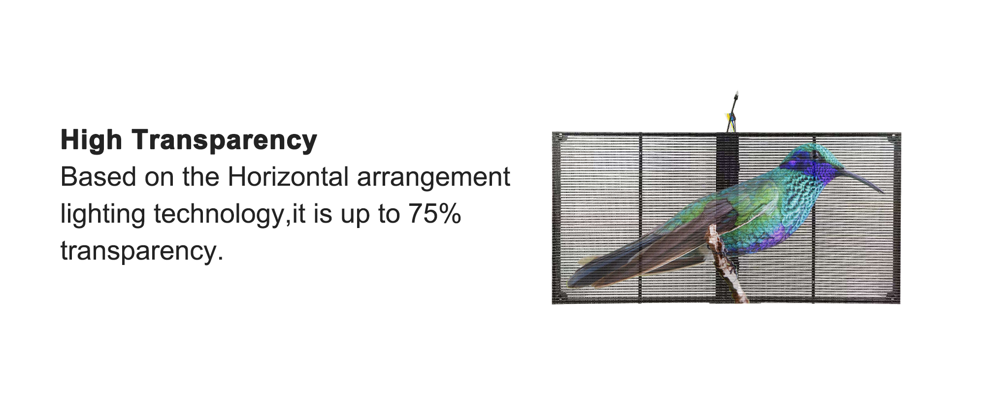 Indoor Advertising Transparent LED Panel Display P3.91-P7.82 Glass Window LED Display
