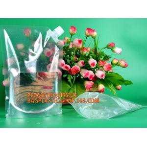 Reusable Stand Up Plastic Custom Liquid Fruit Juice Drink Packaging Spout Pouch
