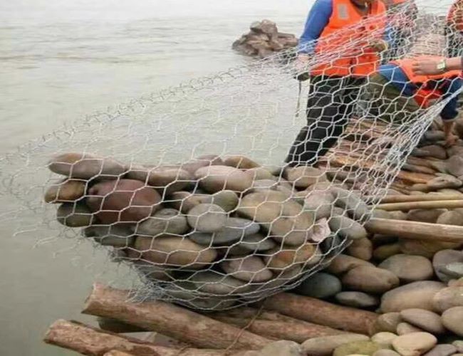 Electro Galvanized Rabbit Chicken Hex Wire Netting