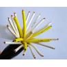 Buy cheap PVC Insulation Flexible Round Control Cable KVV 450/750V in black color from wholesalers