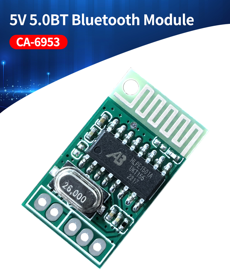 Pure BT 5.0 Module 5G Chipset 5.0 BT Amplifier Board for Speaker Audio Player