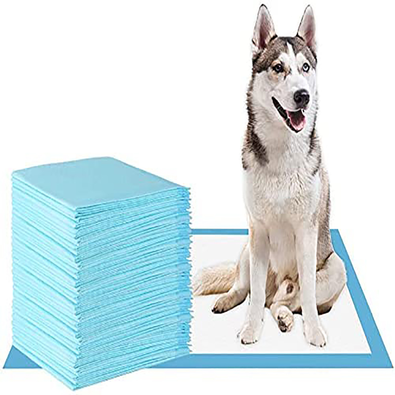 600X350 600X450 600X600 900X600 Urinal Pads for Puppy Dog Pee Training Free Sample
