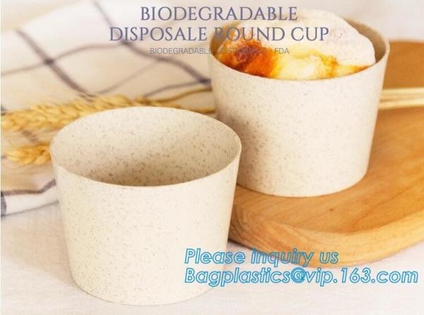 Wheat straw Compostable PLA eco-friendly biodegradable Biodegradable ECO
