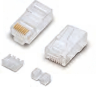 Cat. 6A Plug 8P8C 3U-50U Unshieled