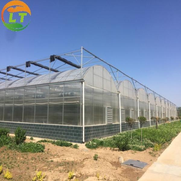 Vegetables Growing Multi-span Film Greenhouse 3m Height with Hot-dip Galvanized