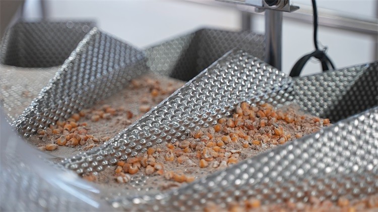 Perfectly Balanced Dried Fruit Assortment - Enhance the Flavor of Your Products