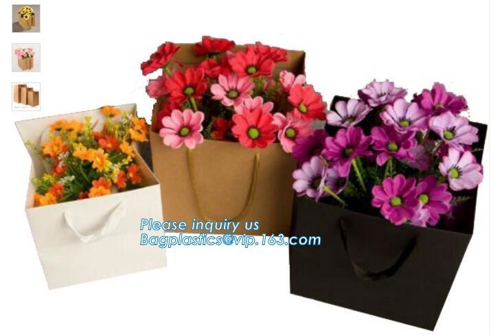 Luxury paper bags with handles Different Sizes,250gsm art paper shopping carrier bag custom printing with handle rope