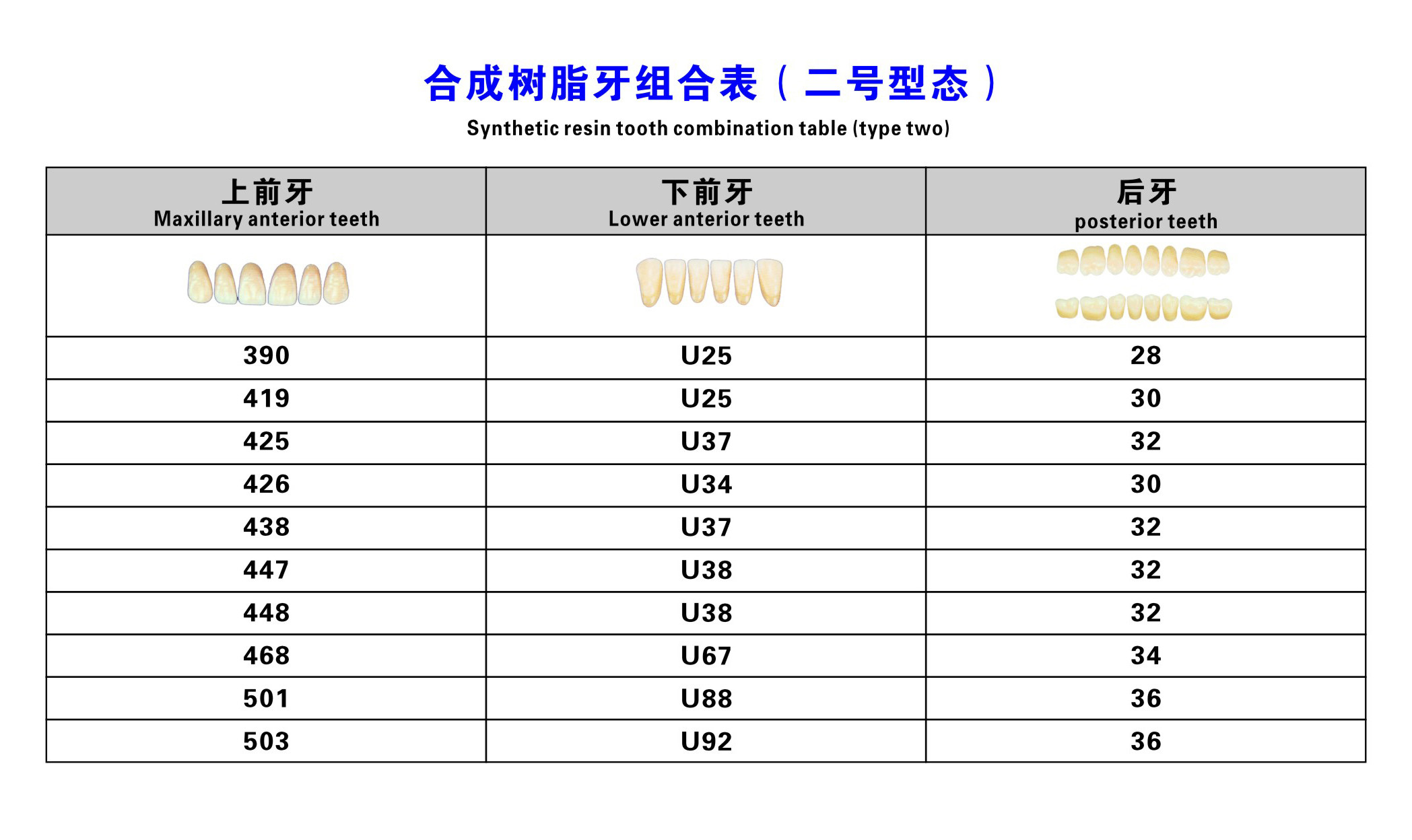 Dental Synthetic Resin Teeth Materials Multi Layers Composite False Teeth HSS3 HC3 M32